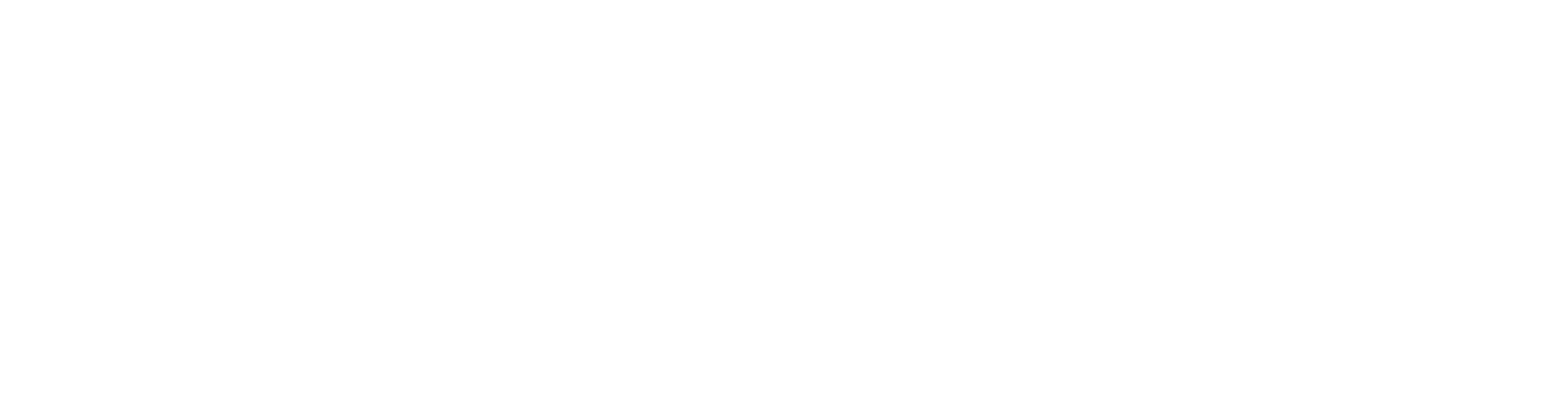 Sansbrix IT